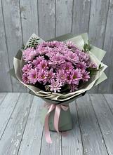 Букет цветов из:  Хризантемы в Молочном Вологодской области