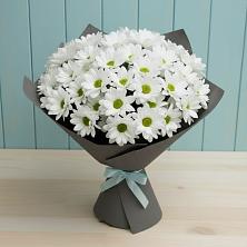 Букет цветов из:  Хризантемы в Молочном Вологодской области