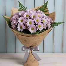 Букет цветов из:  Хризантемы в Молочном Вологодской области