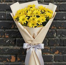 Букет цветов из:  Хризантемы в Молочном Вологодской области