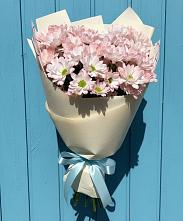 Букет цветов из:  Хризантемы в Молочном Вологодской области