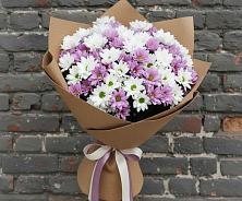 Букет цветов из:  Хризантемы в Молочном Вологодской области