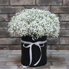 Цветочная композиция из Гипсофила в шляпной коробке #REPLACE_PRED# Молочном Вологодской области