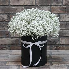 Цветочная композиция из Гипсофила в шляпной коробке в Молочном Вологодской области