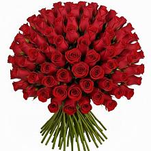 Букет Красные розы Чери Лав #REPLACE_PRED# Молочном Вологодской области