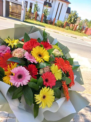 Букет цветов из: Герберы в Молочном Вологодской области
