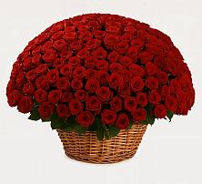 Премиум букет из: Розы в Молочном Вологодской области