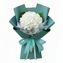 Букет цветов из:  Гортензия в Молочном Вологодской области